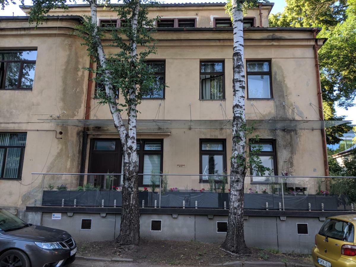 Apartment M Terrace